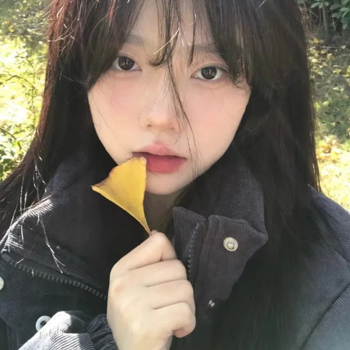 四头狮子
